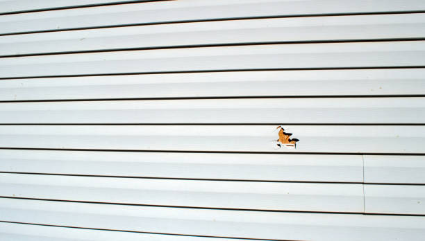 Best Residential Vinyl Siding Installation  in Highlands, NC