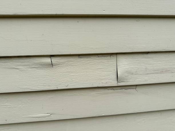 Best Steel Siding Installation  in Highlands, NC